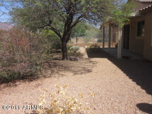 Rear Yard View