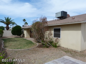 Rear Yard
