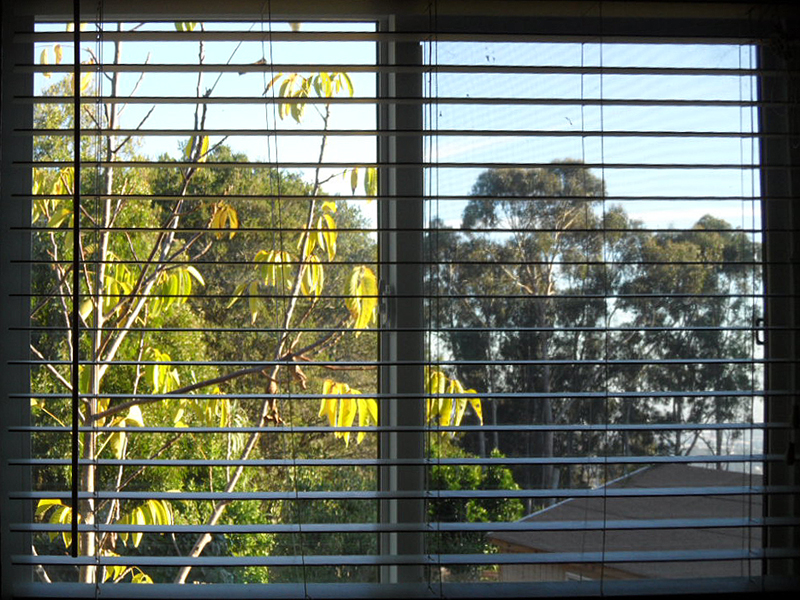 Bedroom #4 View