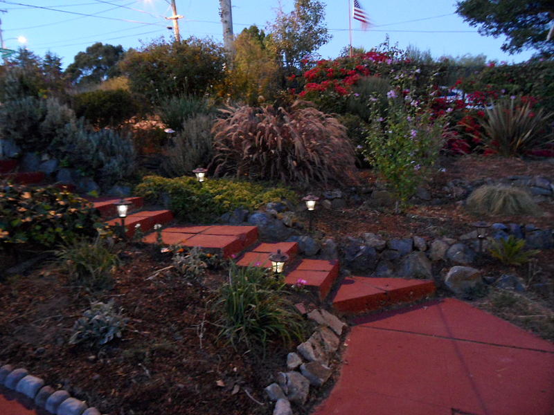 Front Garden Walkway