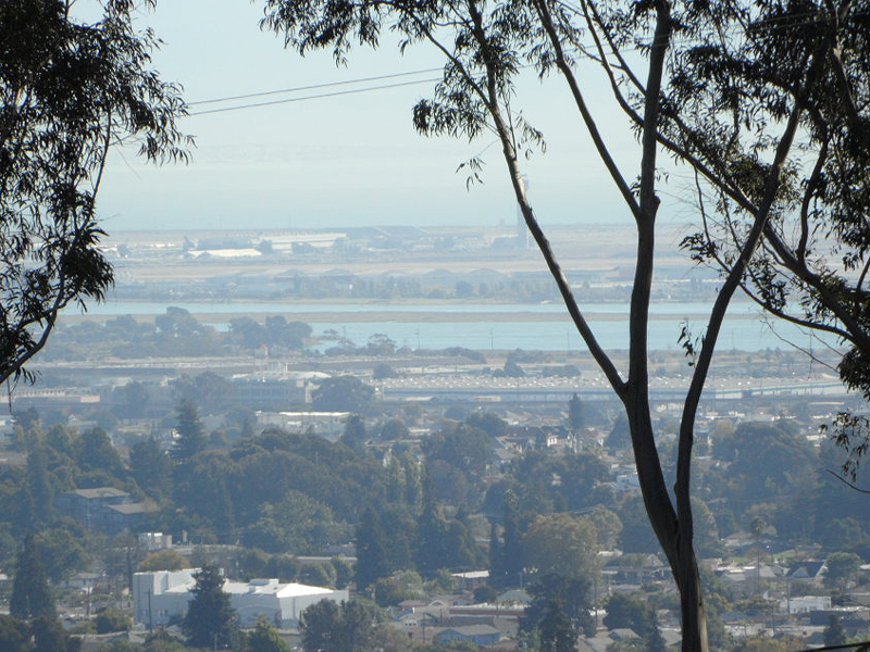 Tele-Photo View from Deck