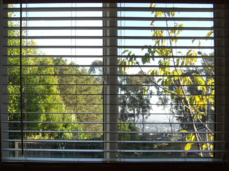 Bedroom #3 View