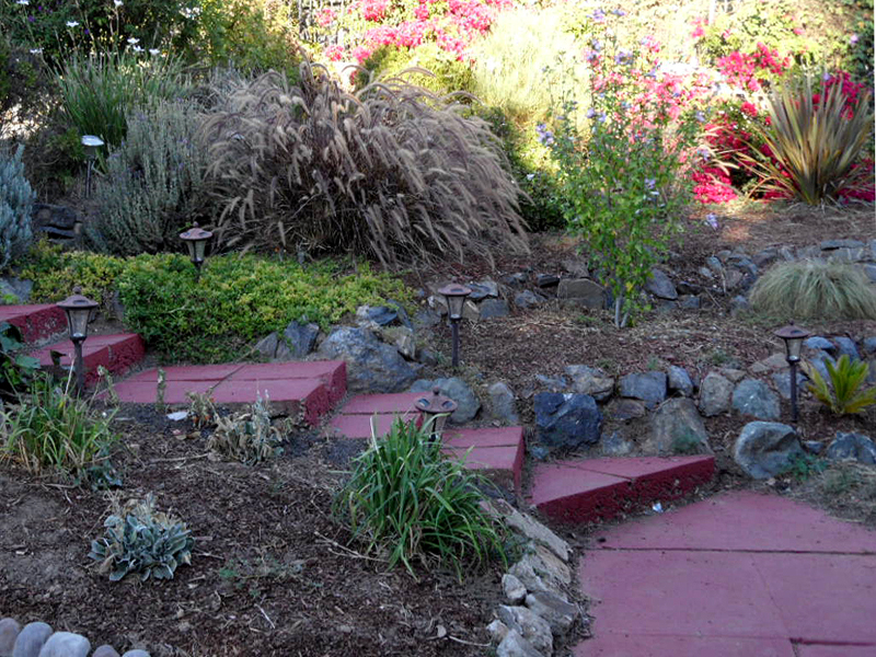 Front Garden Area