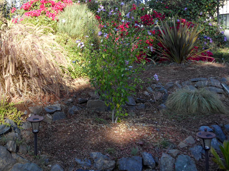 More Garden Areas