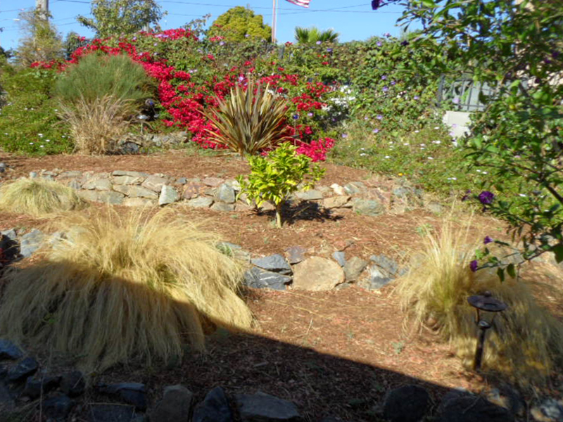 Garden Area Picture