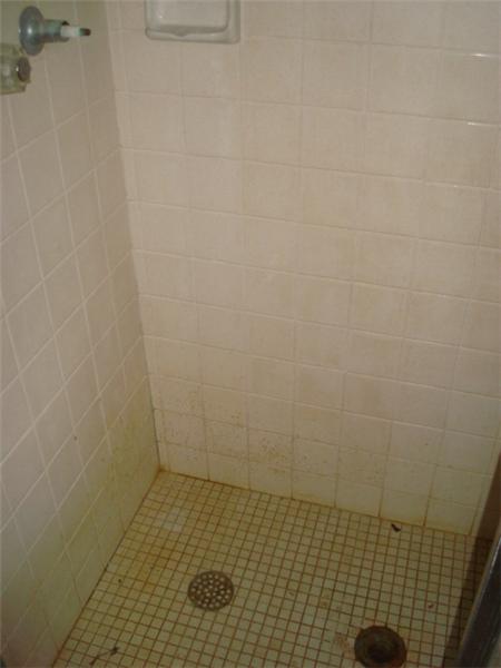 MASTER BEDROOM BATH SHOWER AREA