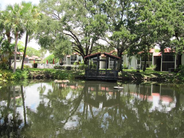 Pond and Gazebo by clubhouse and pool