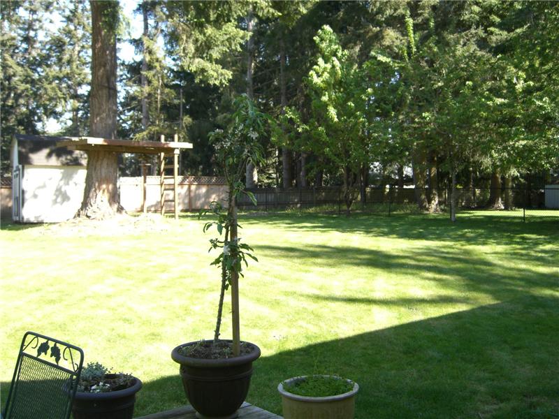 Backyard with partial treehouse