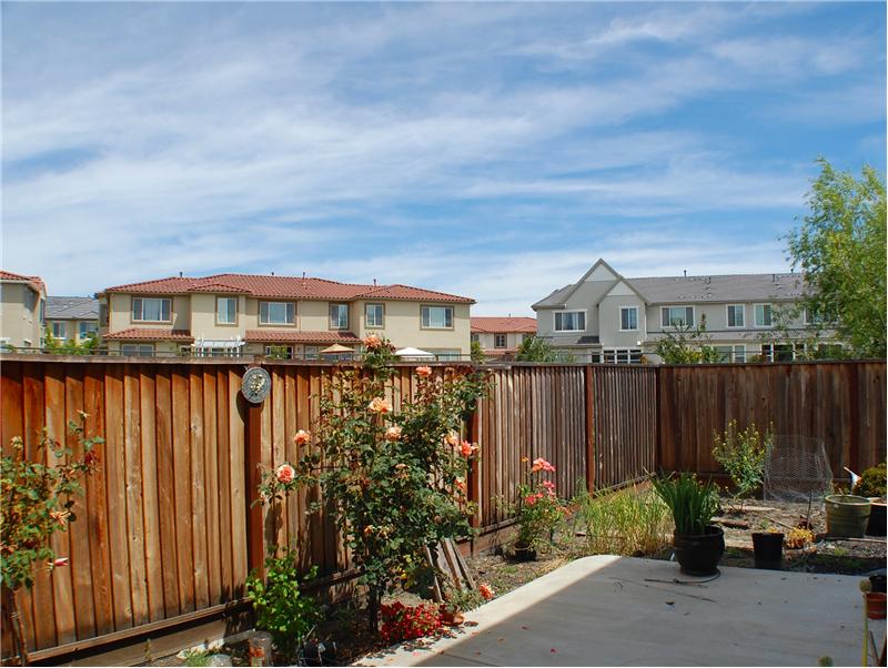 Backyard - 26 Channi Ct, Danville, CA 94506