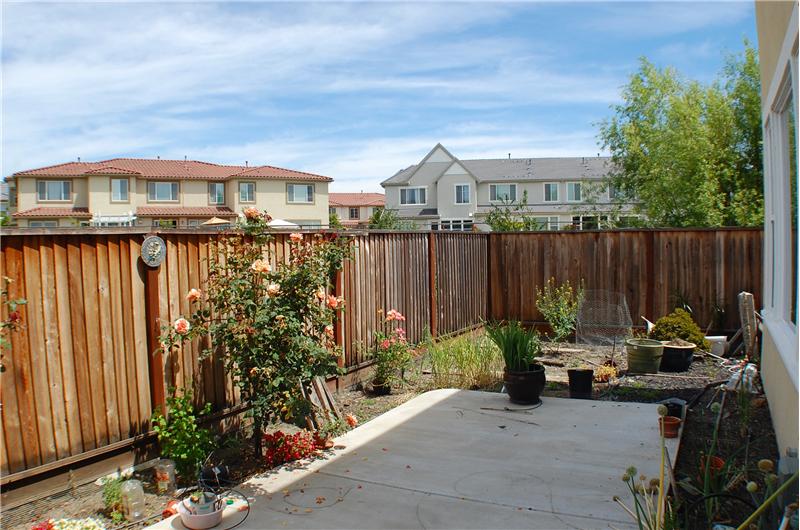 Backyard - 26 Channi Ct, Danville, CA 94506 