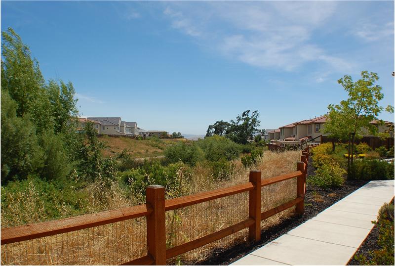 Back View - 26 Channi Ct, Danville, CA 94506