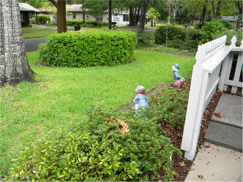 Front Yard