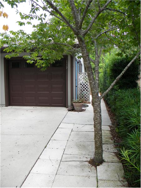 Paver Walkway on Side