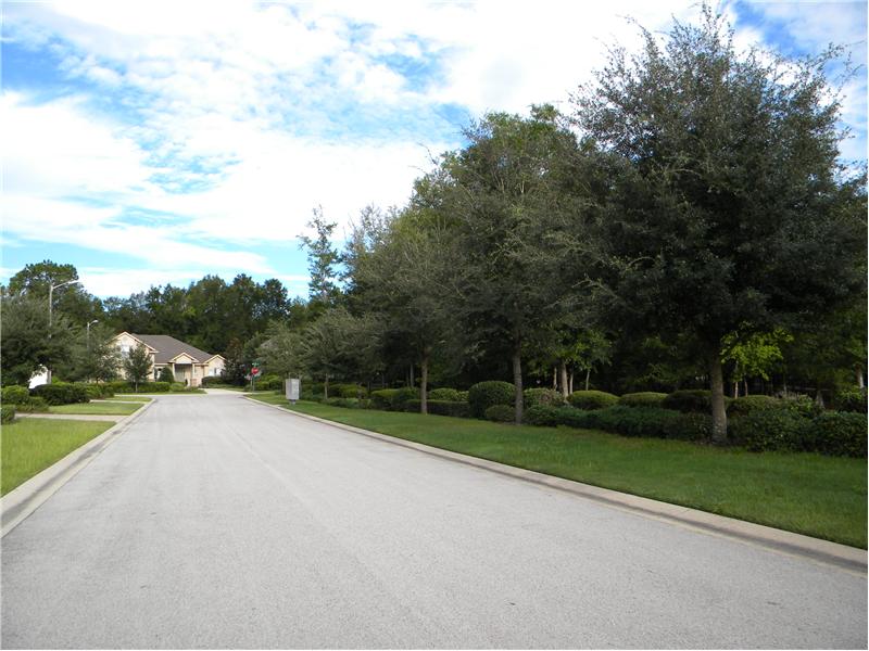 Neighborhood Street