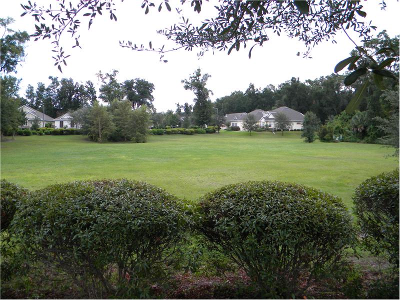 Green Space