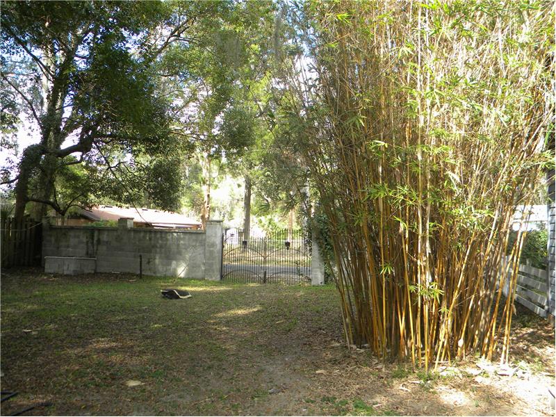 Large BackYard