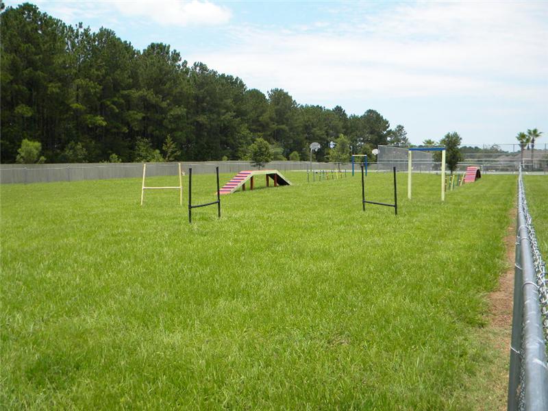 Fenced Dog Play Area