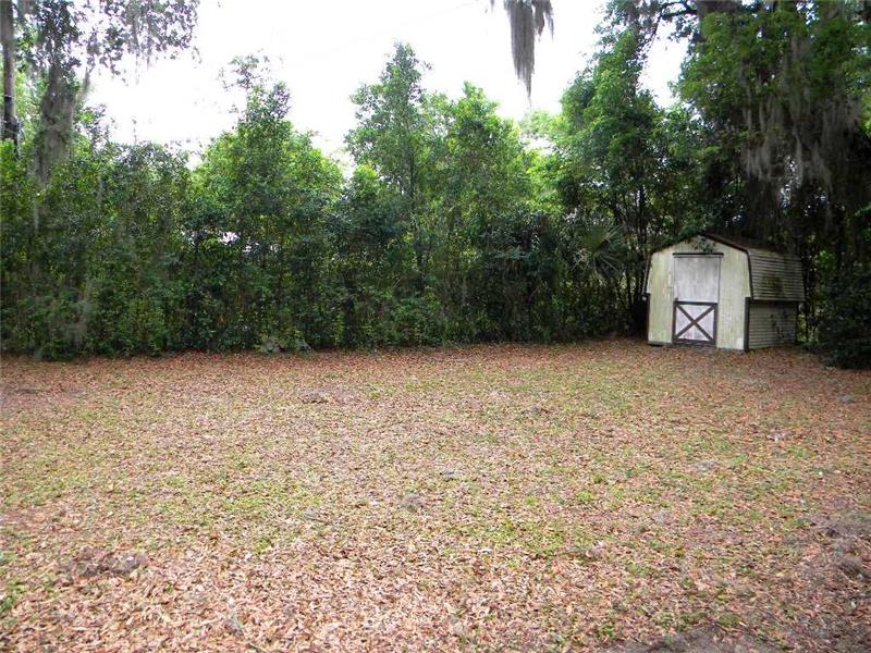 Back Yard with Shed