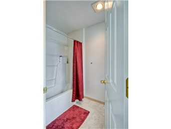 too large for one picture