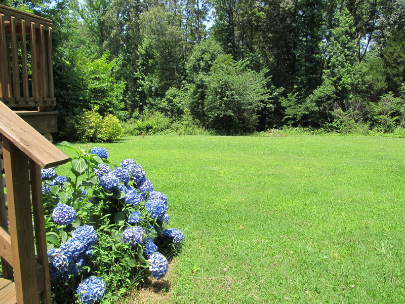 Space for gardening