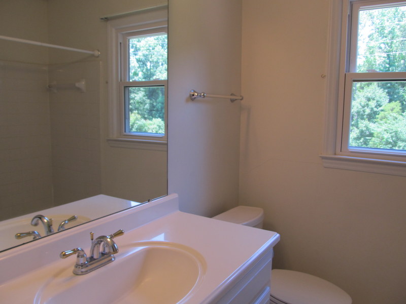 Hall bathroom