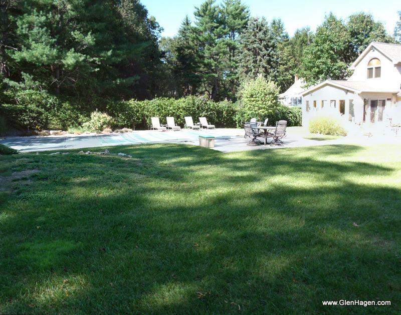 Luxurious Landscaping