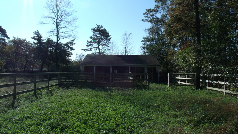 1 Acre Property