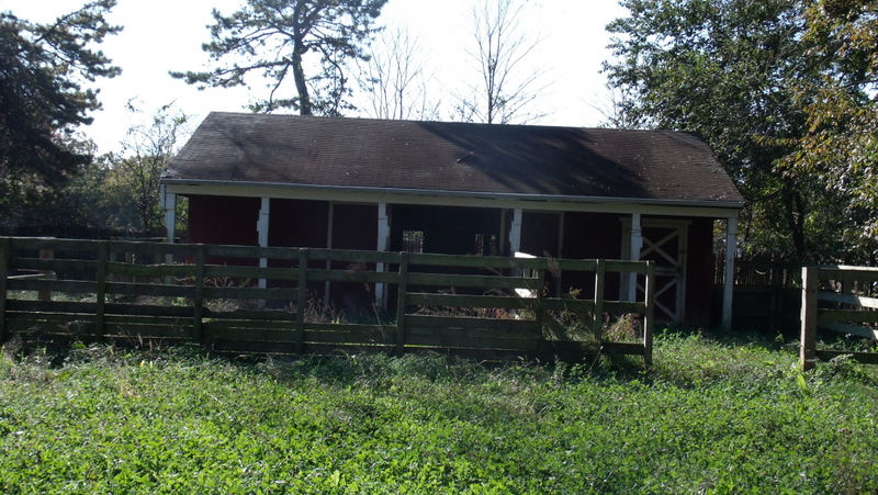 Barn for 3 horses out back