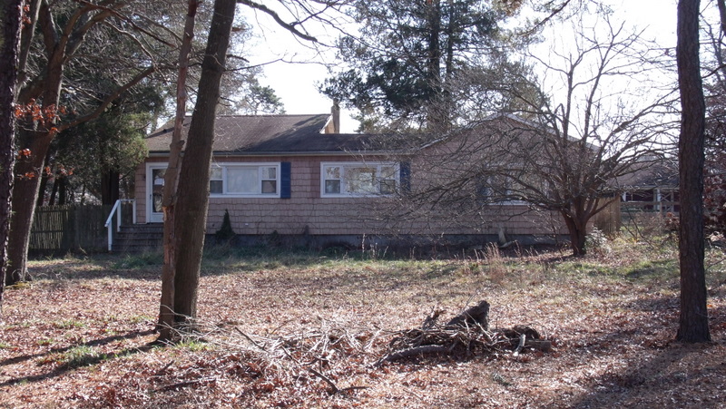 Huge Yard