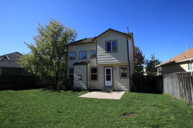 Large backyard with maple tree
