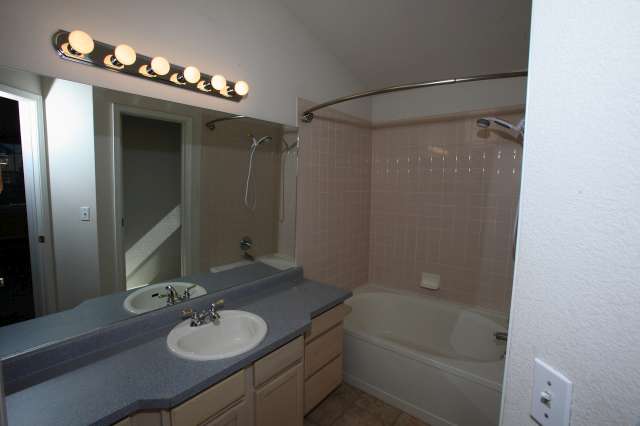 Master bathroom with skylight and soaking tub