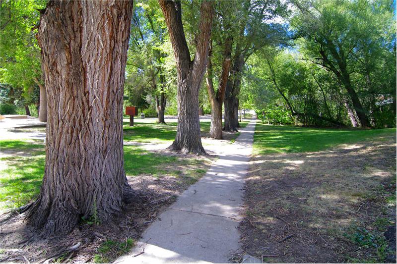 Tree-lined streets