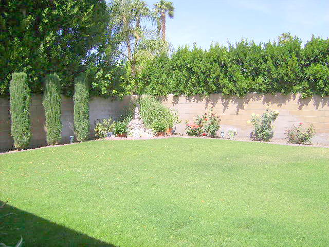 Block Wall In Entire Yard