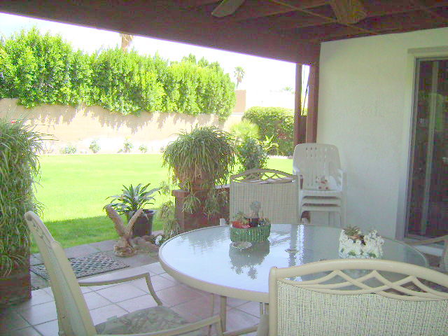 Back Patio
