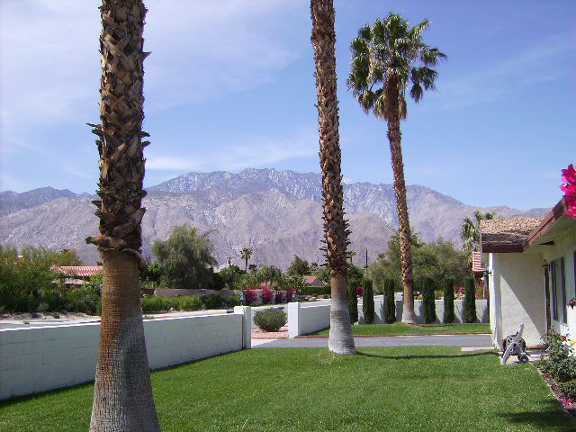 Great Front Yard View