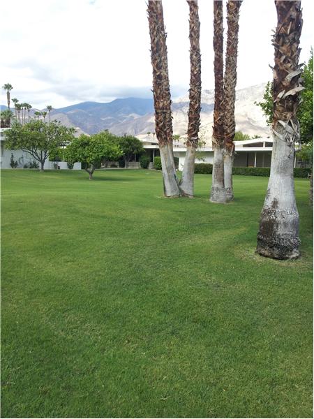 Huge Green Belt South Side of Home