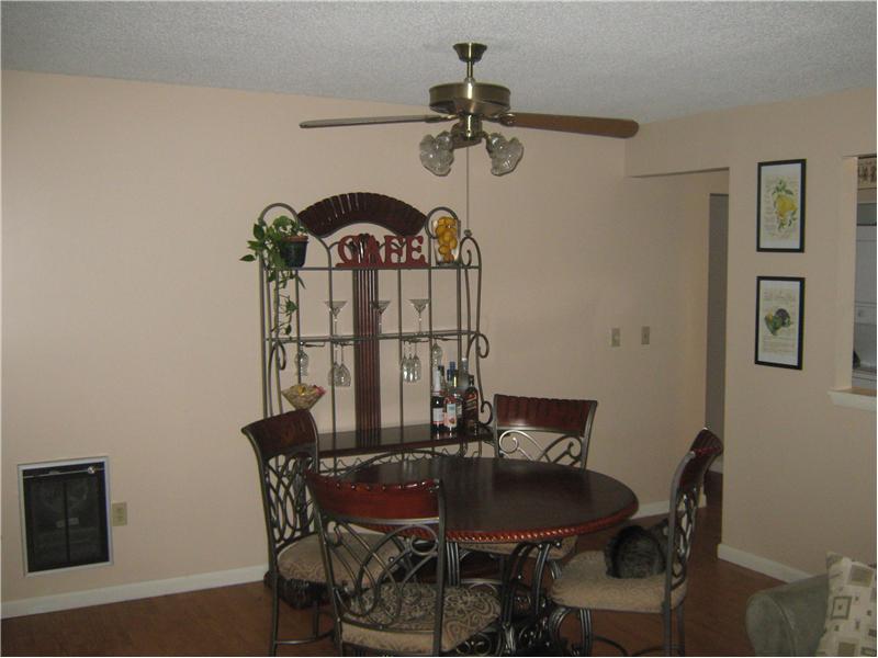 Dining Area  (The cat craves attention, but still not included)