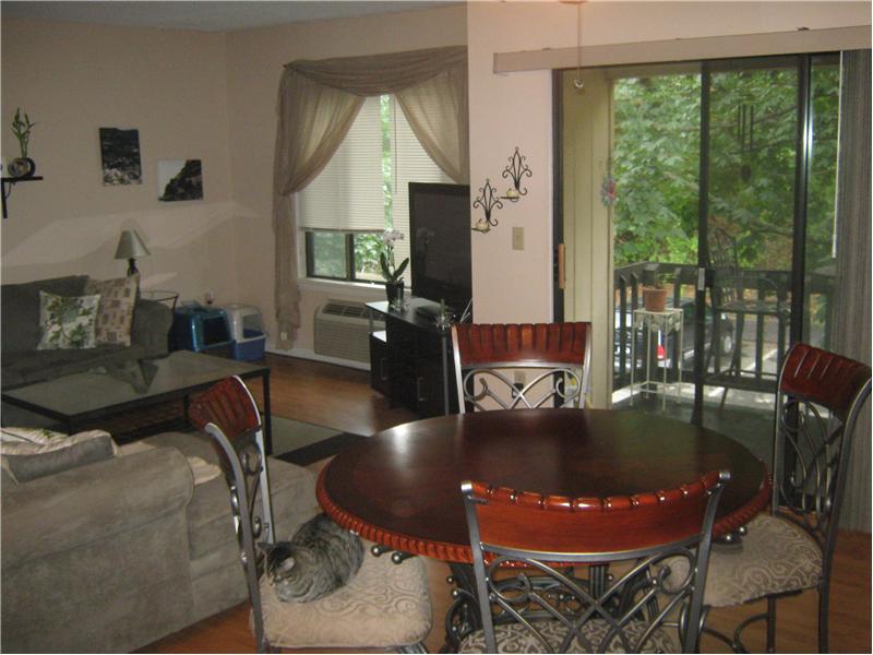 Dining Area/Living Room, Open Floor Plan  (Cat not included)