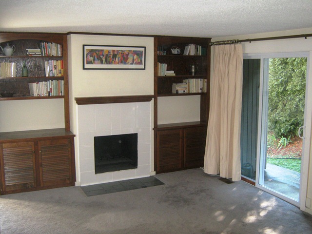 Fireplace and Built ins
