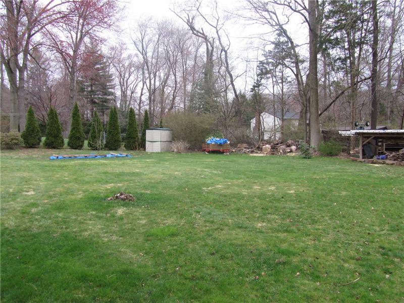 Large Yard