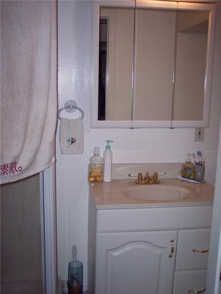 Lower level bathroom.