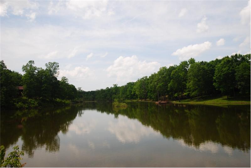 Beautiful Ducks Lake