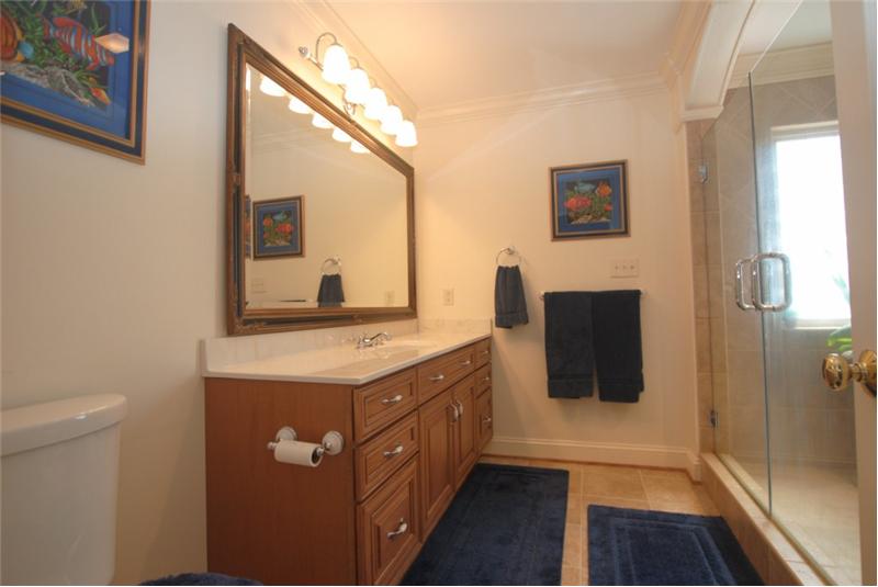 Glass shower