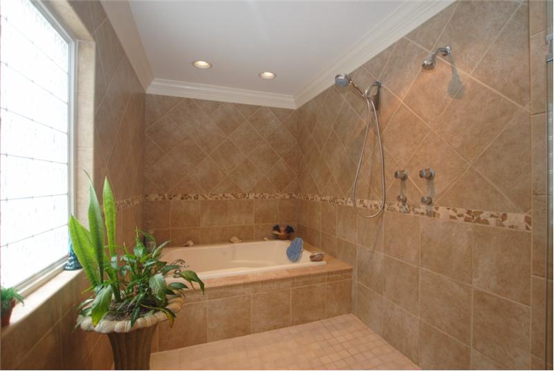 Shower with body jets and jetted tub