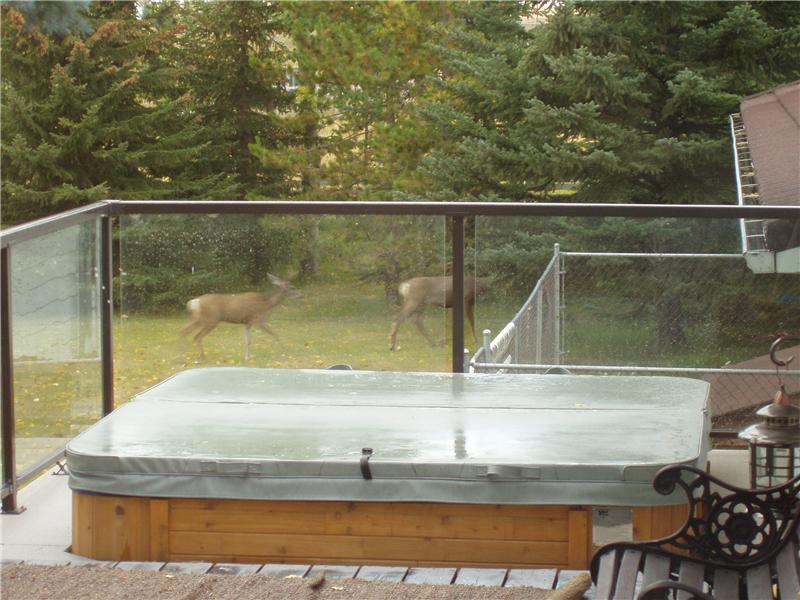 Watch the wildlife from the hot tub.