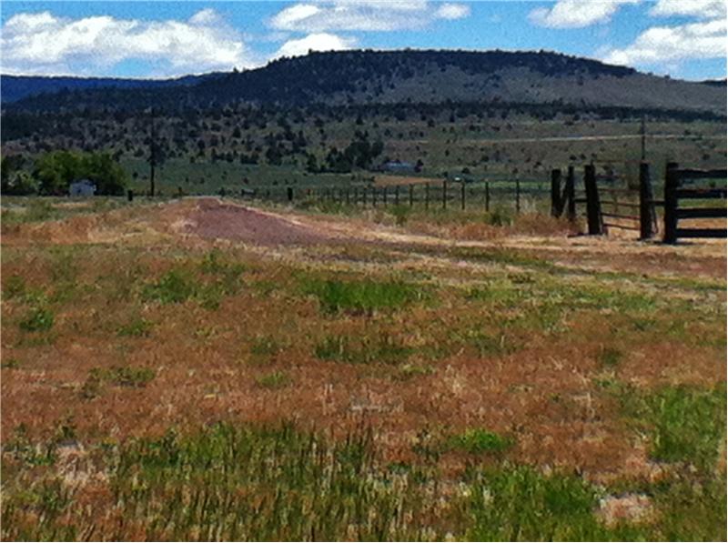 Property pictures of 560555 Hwy 139, Adin, CA 96006, USA Adin, CA