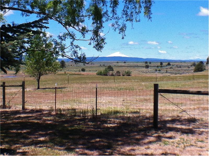 Property pictures of 560555 Hwy 139, Adin, CA 96006, USA Adin, CA