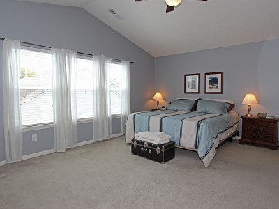 Huge Master bedroom has cathedral ceiling.