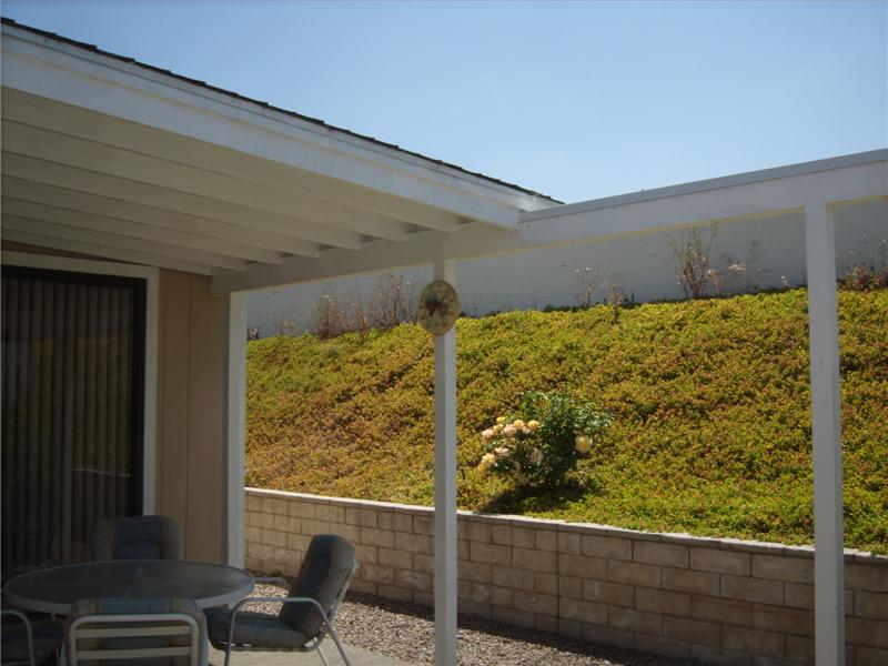 Private patio and yard for relaxing and entertaining