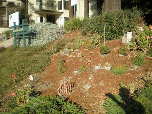 2250 Lakeshore Ave. #1 Oakland CA 94606